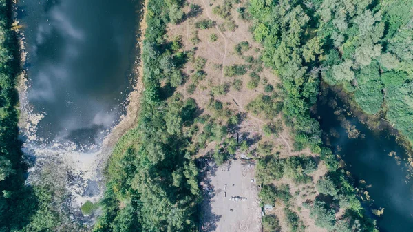 Aerial View Trees — Stock Photo, Image