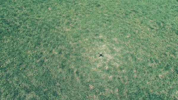 緑の草の空撮 Quadrocopter からシャドウします — ストック写真