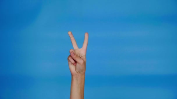 コピースペースのある青の背景に1から5を数える女性の手 女性は1 5本の指を示します ピンクのポリッシュで塗装マニキュア爪 数学の概念 十代の女の子の手4K — ストック動画