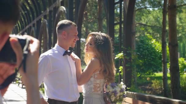 Krásné Šťastné Novomanželé Pózující Pro Fotografa Parku Svatební Focení Letní — Stock video