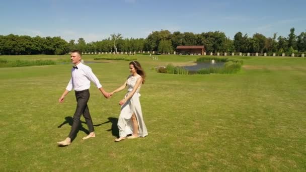 公園の芝生の上を素足で歩き 手をつないでいる美しい幸せな新婚旅行 自然界の夏の晴れた日に結婚式の写真セッション 4Kスローモーション映像 — ストック動画