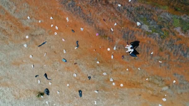 Vue aérienne du dessus de l'homme qui se tient le long des déchets plastiques sur les rives d'une rivière polluée — Video