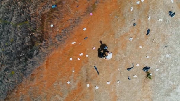 Aerial top view of man who collects plastic trash on banks of dry and polluted river, lake. Camera pans right. Vertical tracking shot. Ecological catastrophy. Anthropogenic influence. 4K drone footage — ストック動画