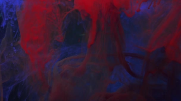 Czerwony tusz mieszający się w wodzie, wirujący delikatnie pod wodą na niebieskim tle — Wideo stockowe