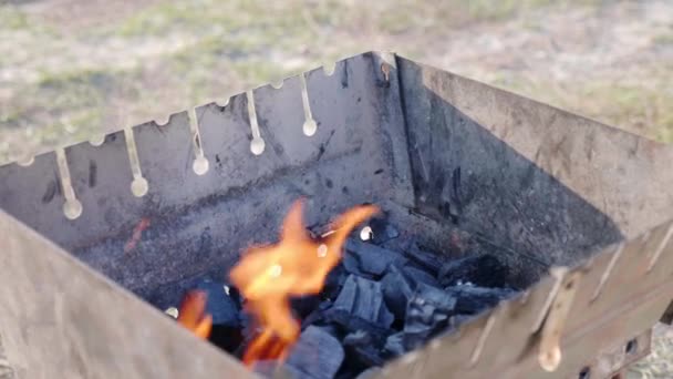 Poparzenia węglem w grillu. Koncepcja gotowania w grillu na łonie natury — Wideo stockowe