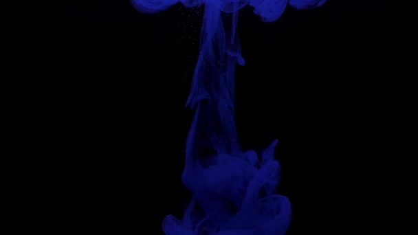 Ciemnoniebieski tusz mieszający się w wodzie, wirujący delikatnie pod wodą na czarnym tle — Wideo stockowe