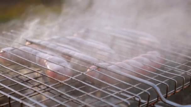 Close up salsichas são cozidos em fumaça na grelha — Vídeo de Stock