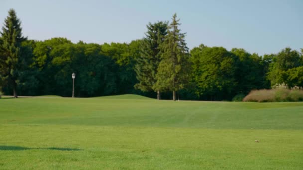 Un giovane uomo d'affari con uno zaino sulla spalla passeggia nel parco — Video Stock