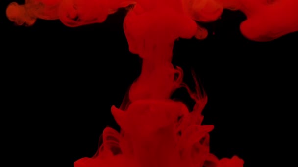 Цветные красные чернила смешиваются в воде, мягко вращаясь под водой на черном фоне — стоковое видео