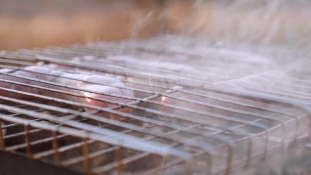 在烤架上烤着密切的腊肠，烤着自然的日落 — 图库视频影像