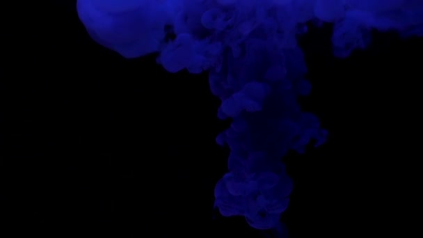 Темно-синє чорнило падає у воду і змішується на чорному тлі — стокове відео
