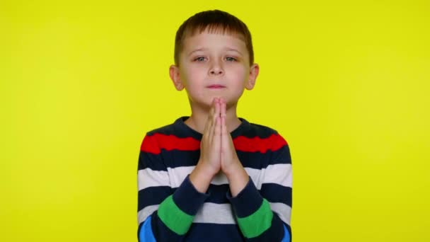 Συγχώρεσέ με. Μικρό παιδί αγόρι ζητά βοήθεια σε κίτρινο φόντο με αντίγραφο χώρο — Αρχείο Βίντεο
