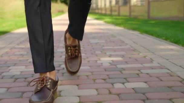 Man in shoes and trousers is walking in the park along the stone sidewalk — Stock Video