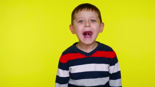 Liten pojke skriker på en gul bakgrund med kopia utrymme — Stockvideo