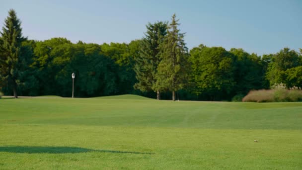 Zakenman met rugzak op zijn schouder loopt in het park op het groene gras — Stockvideo