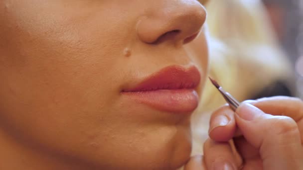 Закрыть профессиональный визажист красит губы женщине в салоне красоты — стоковое видео