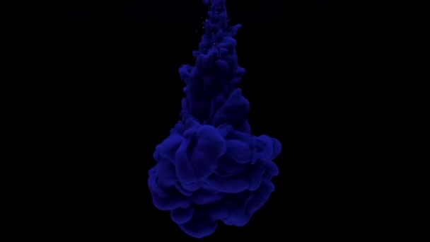 La tinta azul oscuro cae en el agua y se mezcla sobre fondo negro. Timelapse en cámara lenta — Vídeo de stock