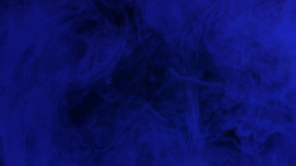 Dunkelblaue Tinte mischt sich mit Wasser und wirbelt sanft unter Wasser. Künstlerischer Hintergrund — Stockvideo