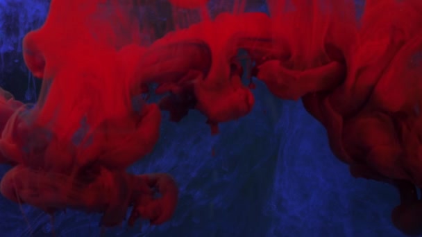 Red ink drops in water and mixes on blue background with copy space — Stock Video