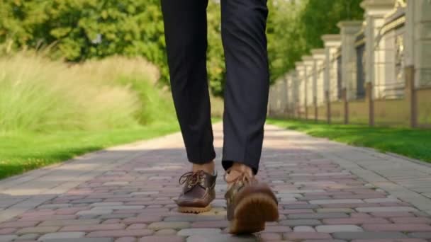 Legs of man in shoes, trousers are walking in the park along the stone sidewalk — Stock Video