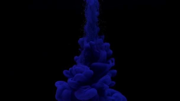 La tinta azul oscuro cae en el agua y se mezcla sobre fondo negro. Cronograma — Vídeo de stock