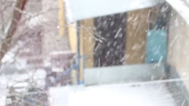 Nevadas Campo Tormenta Nieve Pueblo — Vídeos de Stock