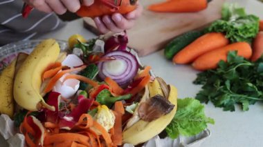 Geri Dönüşüm Kutusu'nu evde mutfak artıkları. Organik Mutfak atıkları kompostlama için toplandı