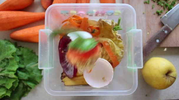 Tri Des Déchets Pelures Restes Nourriture Prêts Pour Bac Compost — Video