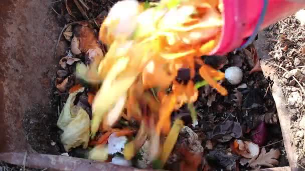 Odpady Żywnościowe Wysypisko Śmieci Recykling Kompostowania Organiczne Odpady Kuchenne Wyrzucane — Wideo stockowe