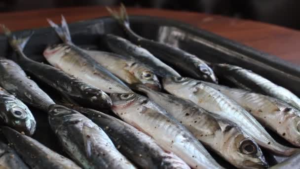 新鲜的海鱼放在烘烤板上 调味香料煮鱼 — 图库视频影像
