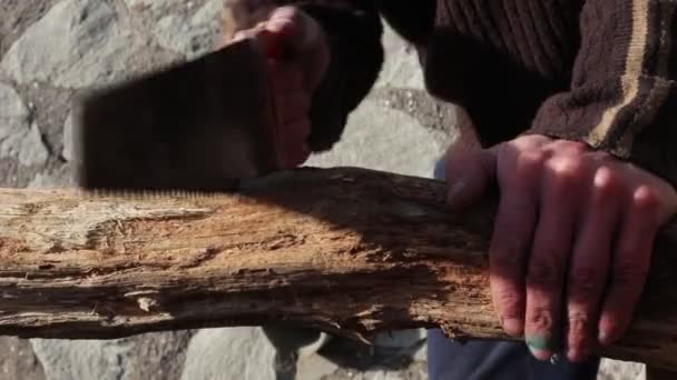 Człowiek Przecieranie Drewna Pomocą Piły Ręcznej — Wideo stockowe