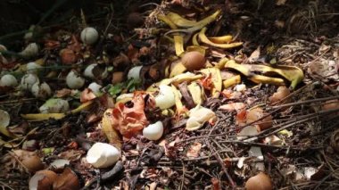 Mutfak artıkları, meyve ve sebze: kabukları, patates, soğan, limon, mandalina, muz, kivi, yumurta. Yemek atıkları için kompost tarafından biodegraded ve toprak döllemek için yeniden