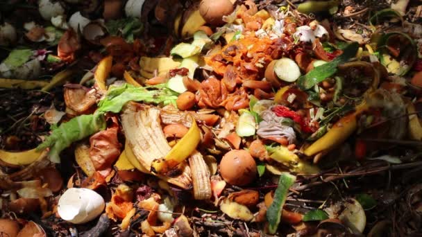 Voedsel Kladjes Composthoop Compost Organisch Materiaal Dat Ontleed Gerecycled Als — Stockvideo