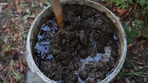 Chá Estrume Para Jardim Fermentação Estrume Animal — Vídeo de Stock