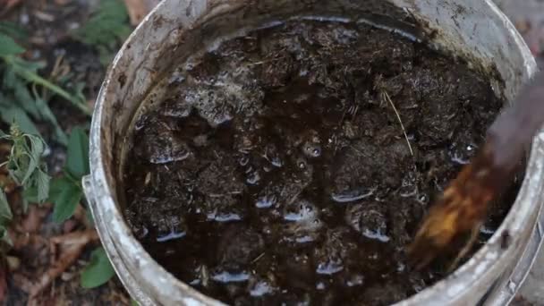 Fermentazione Del Letame Animale Compost Letame Migliori Piante Giardino Fertilizzante — Video Stock