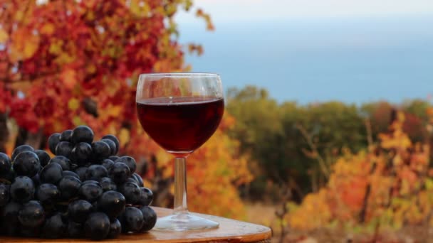 Sklenice červeného vína a hroznů. Pobřeží vinice. Podzimní ochutnávka vín. Vinice a vinařství. Vinné hrozny
