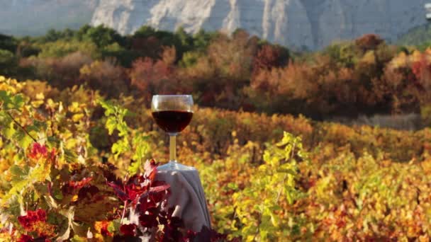 Ein Glas Wein Fallrückzieher Herbst Weinberg — Stockvideo