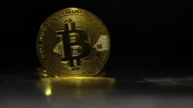 Bitcoin Kripto para birimi. Bitcoins incelemesi