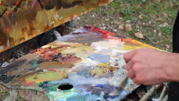 Palette Artiste Gros Plan Mélange Peintures Huile Artiste Professionnel Peint — Video