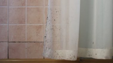 Schimmel Huis Muren Gordijnen Tegels Plafond Vensters Meubilair ... Schimmel Huis Muren Gordijnen Tegels Plafond Vensters Meubilair ...