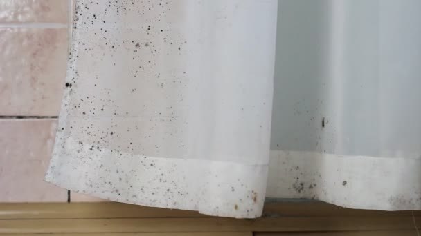 Schimmel Huis Muren Gordijnen Tegels Plafond Vensters Meubilair ... Schimmel Huis Muren Gordijnen Tegels Plafond Vensters Meubilair ...