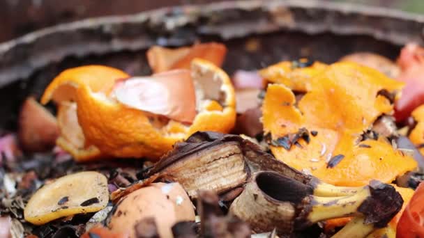 Bouts Nourriture Tas Compost Ingrédients Biologiques Destinés Compostage — Video