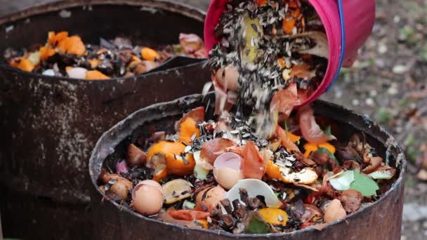 Home Compost Barrel Waste Sorting Materials Compost Pile — Stock Video