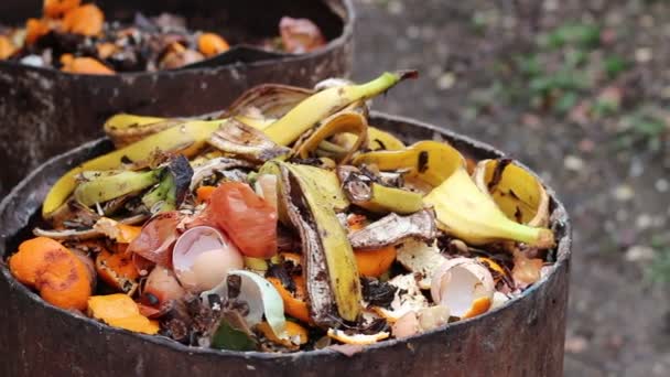 Sterty Kompostu Resztki Żywności Kupa Mokry Organicznych Znaczenia Znany Jako — Wideo stockowe