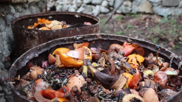 家用堆肥桶 被称为绿色废料 食物废料 的湿有机质堆 等待材料分解成腐殖质 — 图库视频影像