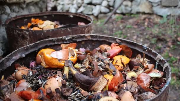 Composting Waste Decomposition Organic Waste Humus Known Compost Which Good — Stock Video