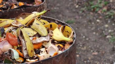 Ev kompost varil. Yemek artıkları kompost yığın