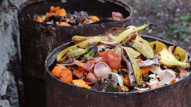 Kitchen Scraps. Home compost barrel. Sorting out composting — Stock Footage Kitchen Scraps Home Compost Barrel Sorting Out Composting Royalty Free Stock Video