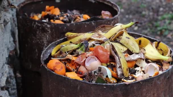 Raspaduras Cocina Barril Compost Casero Clasificación Del Compostaje — Vídeo de stock