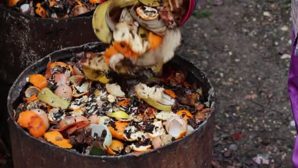 Waste Sorting Home Compost Barrel Composting Waste — Stock Video